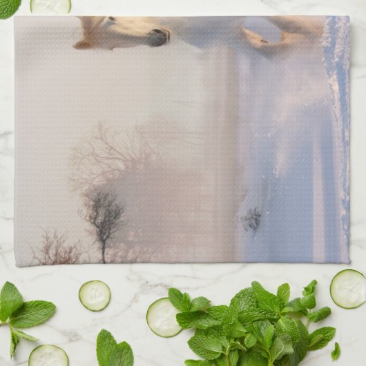 Het mooie witte paard Galloping in de sneeuw Theedoek (Gevouwen)