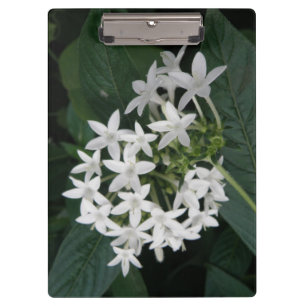 Het mooie Witte Tropische Klembord van Bloemen