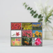 Het mooiste Briefkaart van de Bloemkool (Staand voorkant)