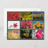 Het mooiste Briefkaart van de Bloemkool (Voorkant / Achterkant)