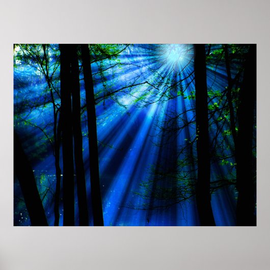 Het moonlight wordt gevormd door het meer poster (Voorkant)