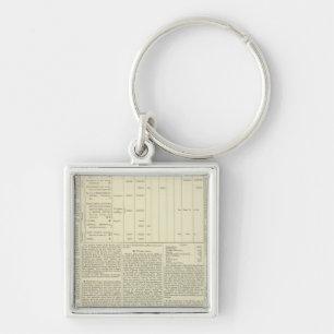 Het morele en statistische schema van de Wereldbol Sleutelhanger