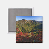 Het najaar uitzicht van Linville Gorge noemde vaak Magneet (Voorkant / Achterkant)