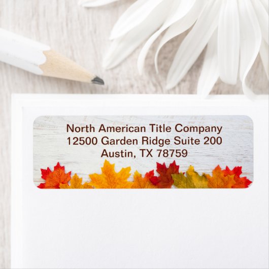 Het najaar verliest het Adres van de Terugkeer van Etiket (Insitu)