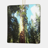 Het nationaal park Sequoia and Kings Canyon Keramisch Ornament (Links)