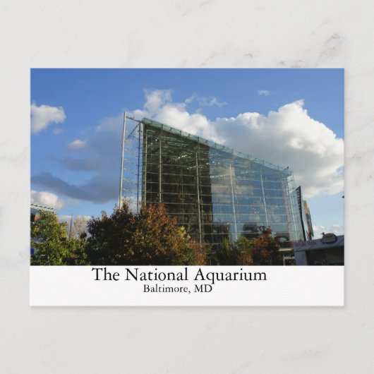 Het nationale aquarium briefkaart (Voorkant)