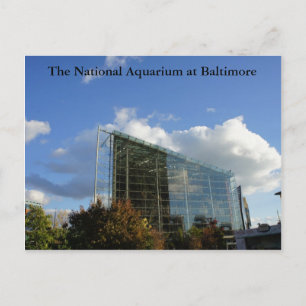 Het nationale aquarium van Baltimore Briefkaart