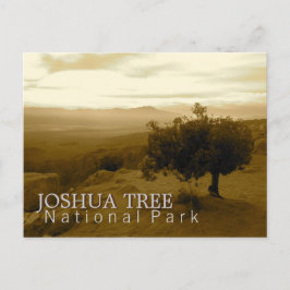 Het Nationale Park van de Boom van Joshua Briefkaart