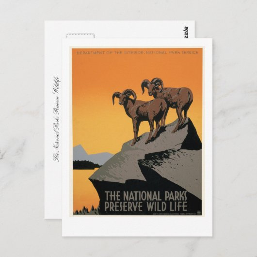 Het natuurreservaat van de nationale parken briefkaart (Voorkant / Achterkant)
