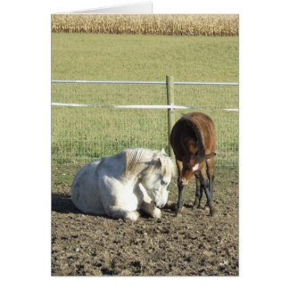 Het neemt patiëntenkaart