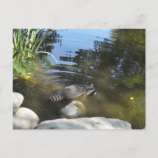 Het nemen van een Dip Racon Briefkaart (Voorkant)