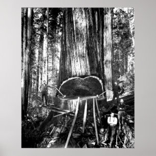 HET NEMEN VAN EEN GANGER C. 1890 POSTER