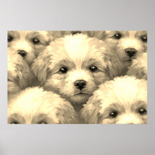Het nest blonde puppy's op een muur poster