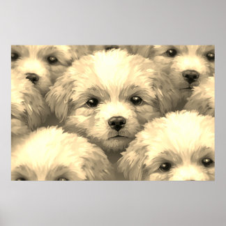 Het nest blonde puppy's op een muur poster
