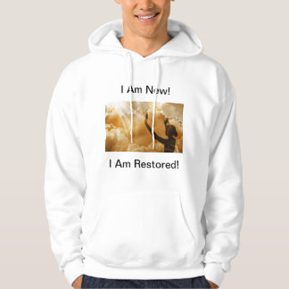 Het nieuwe herstelplan dat u hebt gebruikt hoodie