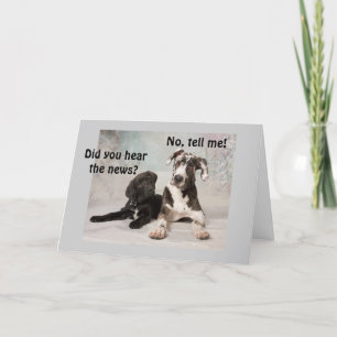 HET NIEUWS IS DAT HET UW SPECIALE DAG VANDAAG IS KAART