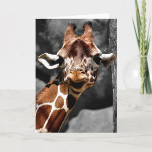 Het nieuwsgierige Wenskaart van de Giraffe Kaart