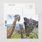 Het nieuwste nieuws is Briefkaart (Voorkant / Achterkant)