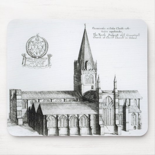 Het Noordelijke Vooruitzicht op het Vervolg Muismat (Voorkant)