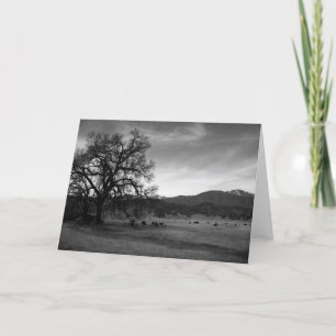 Het Noorden van het vee van Stonyford, Colusa Kaart