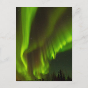 Het Noorderlicht   Fairbanks, Alaska Briefkaart