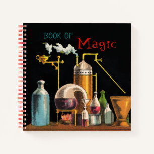 Het Notitieboek van de alchemist Mad Scientist