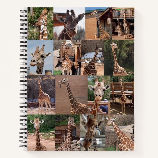 Het Notitieboek van het beslag (Voorkant)