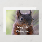 Het nutteloze Briefkaart van de eekhoorn ontbreekt (Voorkant / Achterkant)