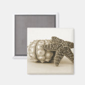 Het Odd-paar Magneet (Voorkant / Achterkant)