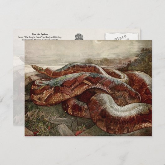 Het Oerwoud Boek: Kaa, de Python Briefkaart (Voorkant / Achterkant)