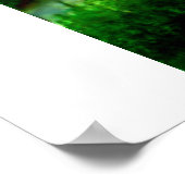 Het Oerwoud Poster (Hoek)