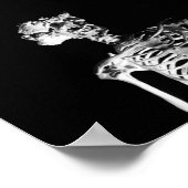 Het olifant Man skelet Poster (Hoek)