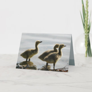 Het onder ogen zien van het Licht Kaart