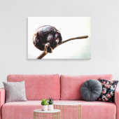 Het ontbreken van je enige Stedelijke Chimpansee-a Canvas Afdruk (Insitu (Woonkamer))