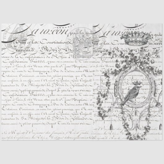 Het ontkoppelen van het landschapsmanuscript van h tissuepapier (Voorkant)