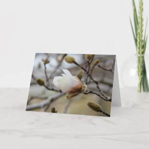 Het ontluiken de Bloei van de Magnolia, binnenvers Kaart