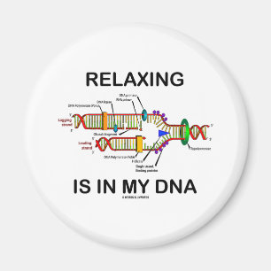 Het ontspannen is in Mijn DNA (de Replicatie van Magneet