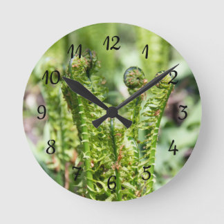 Het ontwaken van jonge fern in de tuin ronde klok