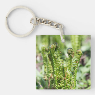 Het ontwaken van jonge fern in de tuin sleutelhanger