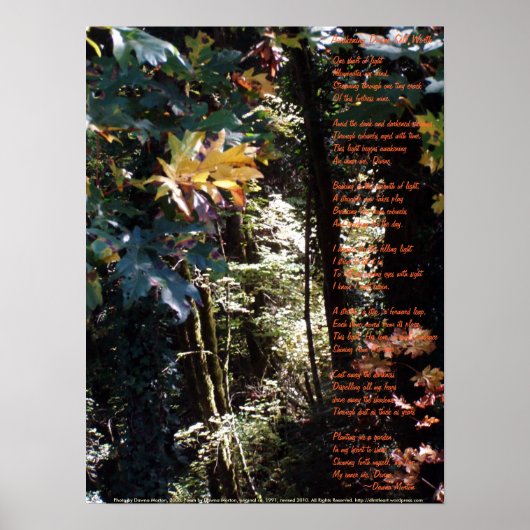 Het ontwakken van goddelijke Zelfheid Poster (Voorkant)