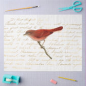 Het ontwerp van de Bouquet-reeks 140 Tissuepapier (Craft)