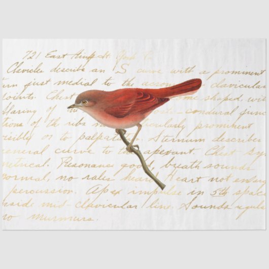 Het ontwerp van de Bouquet-reeks 140 Tissuepapier (Voorkant)