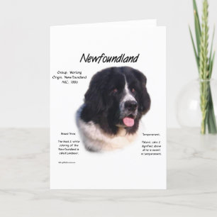 Het Ontwerp van de Geschiedenis van Newfoundland Kaart
