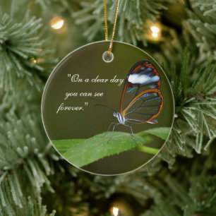 Het Ontwerp van de Vlinder van Glasswing "op van Keramisch Ornament