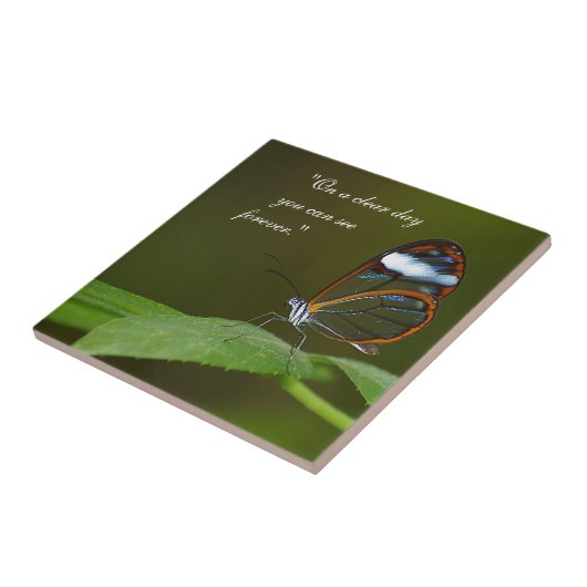 Het Ontwerp van de Vlinder van Glasswing "op van Tegeltje (Zijkant)