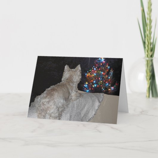 HET ONTZAG VAN KERSTMIS WESTIE FEESTDAGEN KAART (Voorkant)
