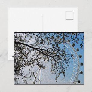 Het oog door herfstbladeren briefkaart