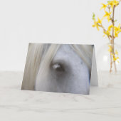 Het oog van de gevallen Pony Kaart (Gele Bloem)