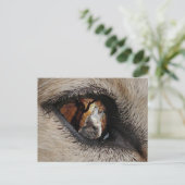 Het oog van de Wolf Briefkaart (Staand voorkant)