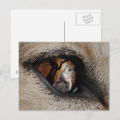 Het oog van de Wolf Briefkaart (Voorkant / Achterkant)